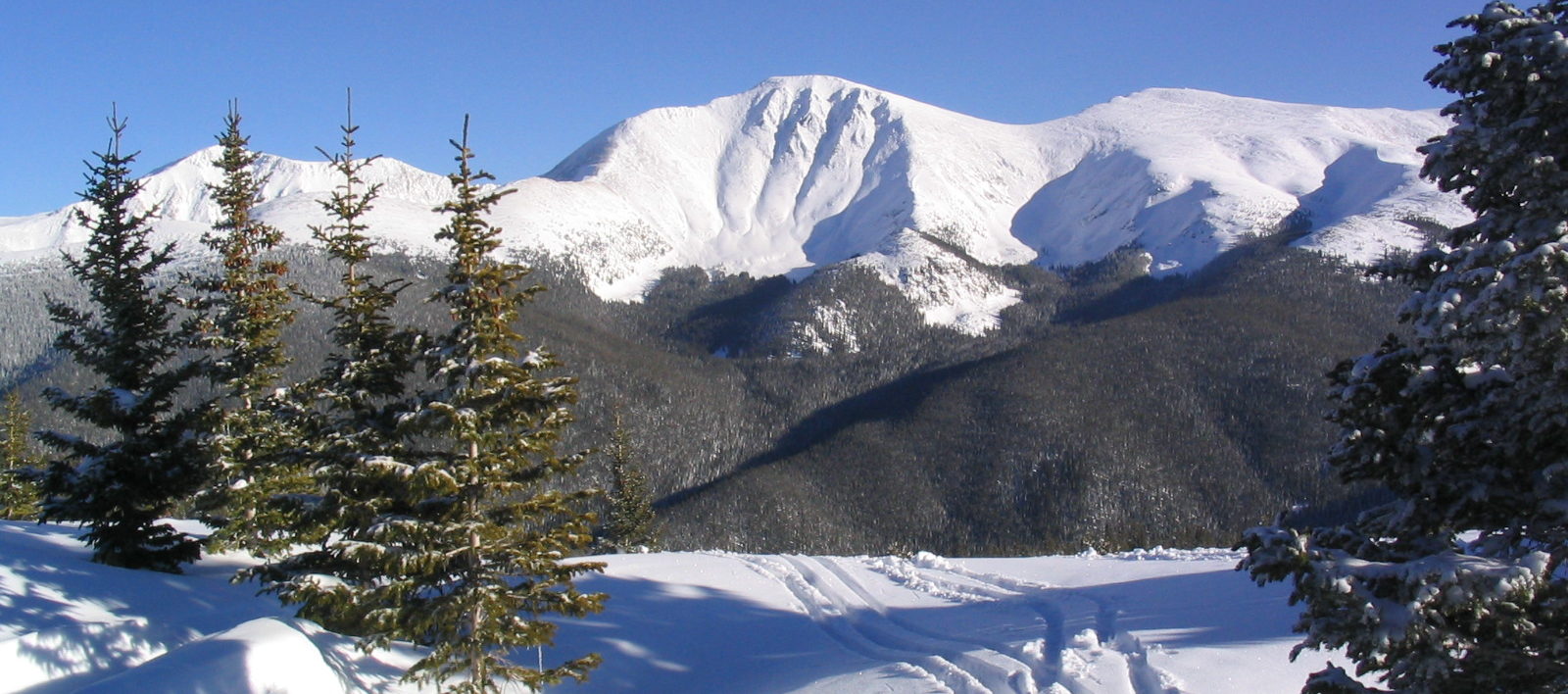 Why are more and more schools looking to fly across the Atlantic when the Alps are on our doorstep?